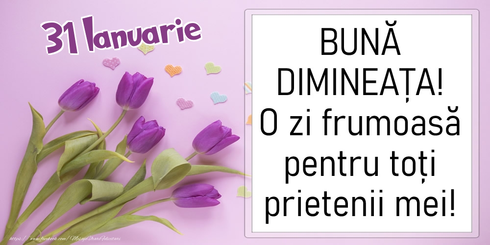 31 Ianuarie - BUNĂ DIMINEAȚA! O zi frumoasă pentru toți prietenii mei!