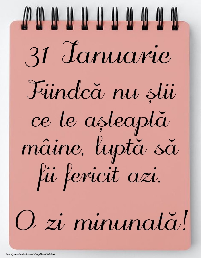Mesajul zilei -  31 Ianuarie - O zi minunată!