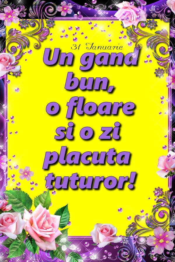 Ianuarie 31 Un gand bun, o floare si o zi placuta tuturor!