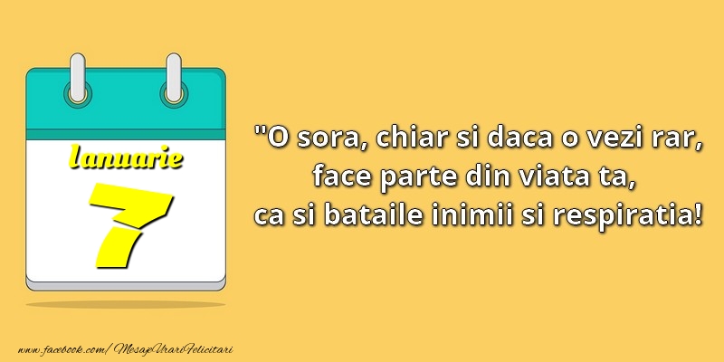 O soră, chiar şi dacă o vezi rar, face parte din viata ta, ca şi bătăile inimii şi respiraţia! 7Ianuarie