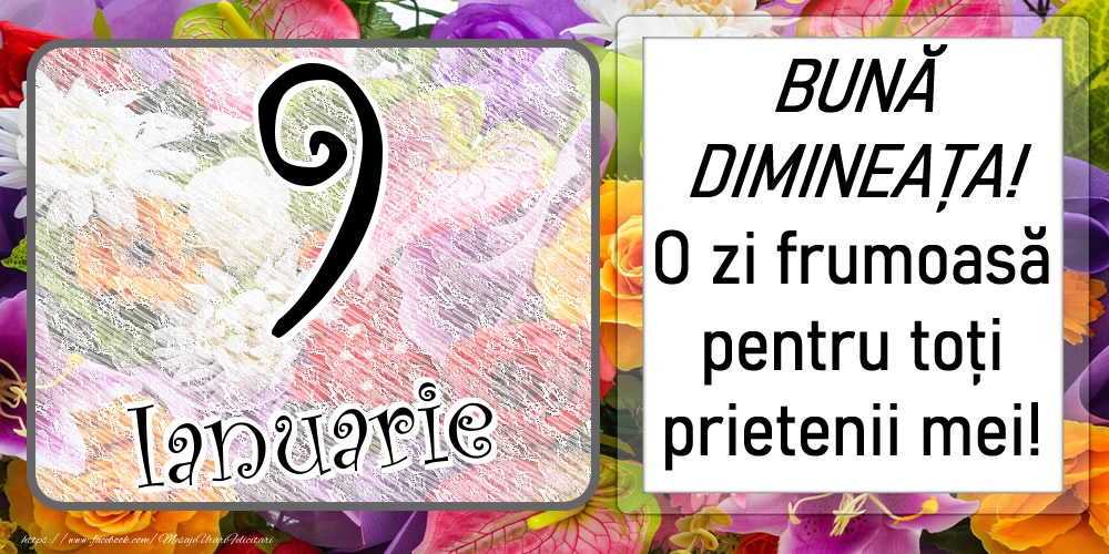 9 Ianuarie - BUNĂ DIMINEAȚA! O zi frumoasă pentru toți prietenii mei!