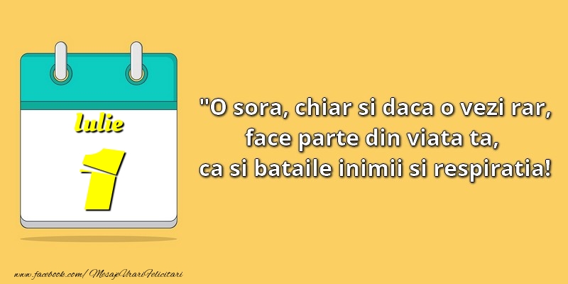 O soră, chiar şi dacă o vezi rar, face parte din viata ta, ca şi bătăile inimii şi respiraţia! 1Iulie