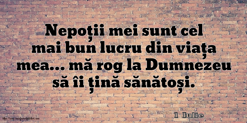 Felicitari de 1 Iulie - 1 Iulie - Nepoții mei sunt cel mai bun lucru din viața mea…