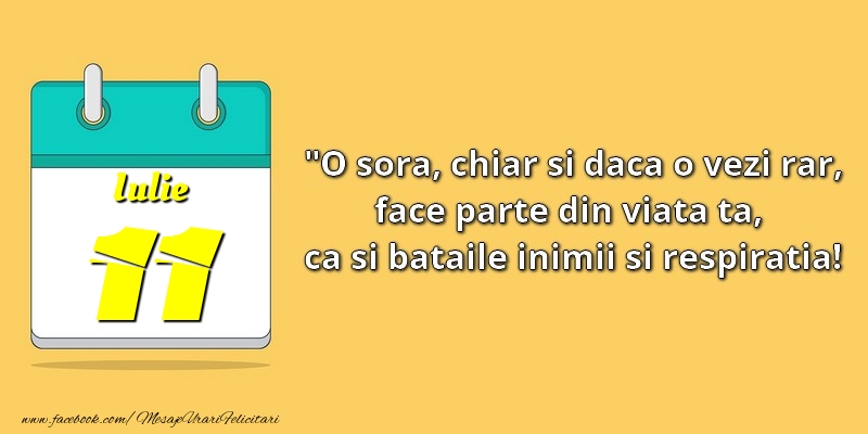 O soră, chiar şi dacă o vezi rar, face parte din viata ta, ca şi bătăile inimii şi respiraţia! 11Iulie