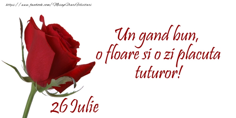 Felicitari de 26 Iulie - Un gand bun, o floare si o zi placuta tuturor!