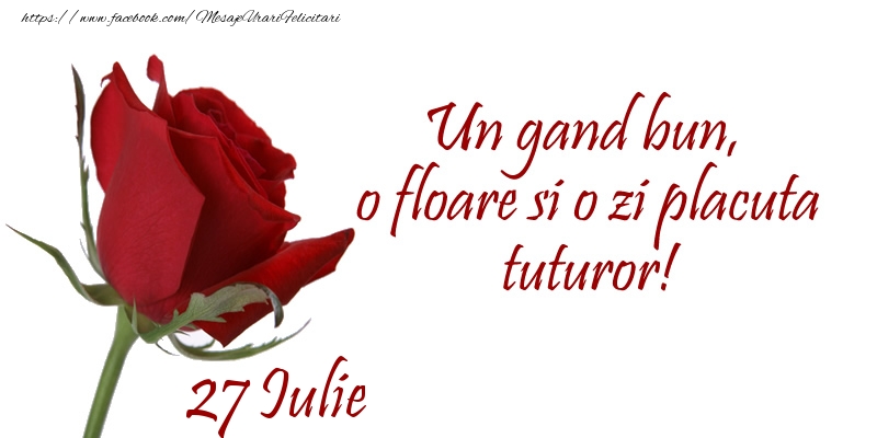 Felicitari de 27 Iulie - Un gand bun, o floare si o zi placuta tuturor!