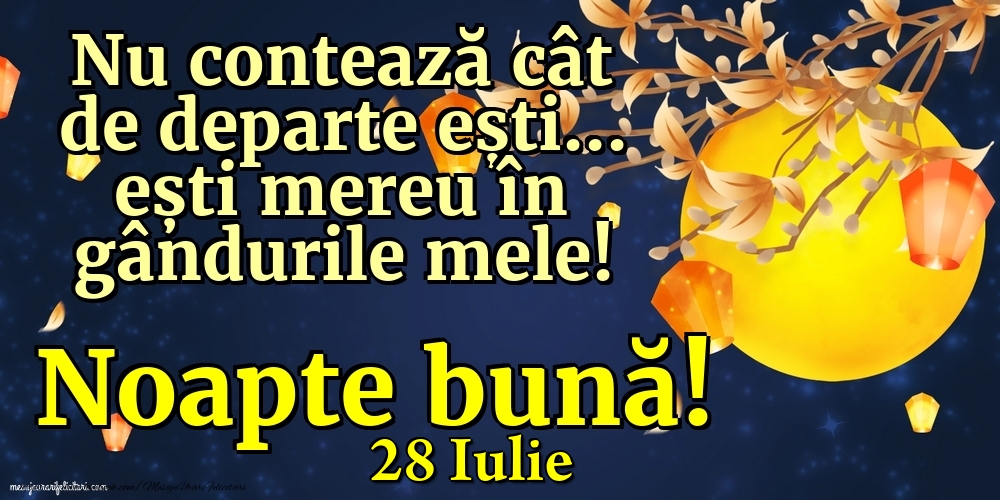 Felicitari de 28 Iulie - 28 Iulie - Nu contează cât de departe ești... ești mereu în gândurile mele! Noapte bună!