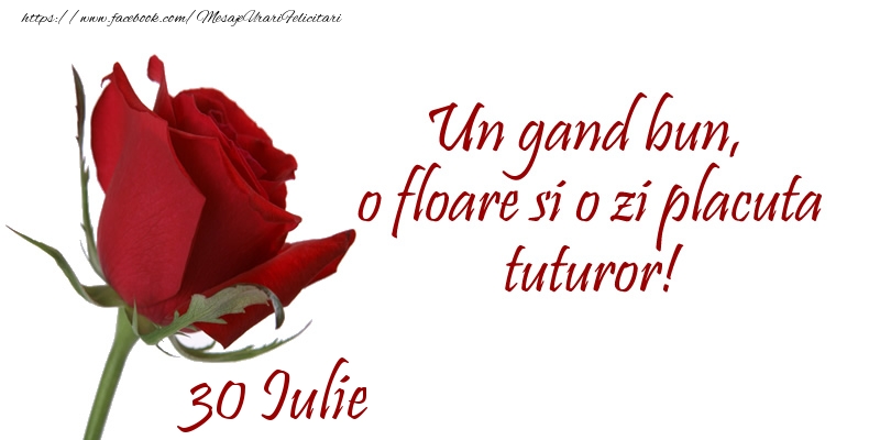Felicitari de 30 Iulie - Un gand bun, o floare si o zi placuta tuturor!