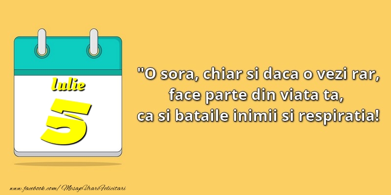 O soră, chiar şi dacă o vezi rar, face parte din viata ta, ca şi bătăile inimii şi respiraţia! 5Iulie