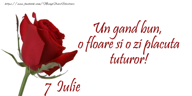 Felicitari de 7 Iulie - Un gand bun, o floare si o zi placuta tuturor!