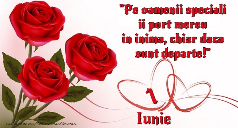 Pe oamenii speciali ii port mereu in inima, chiar daca sunt departe! 1Iunie