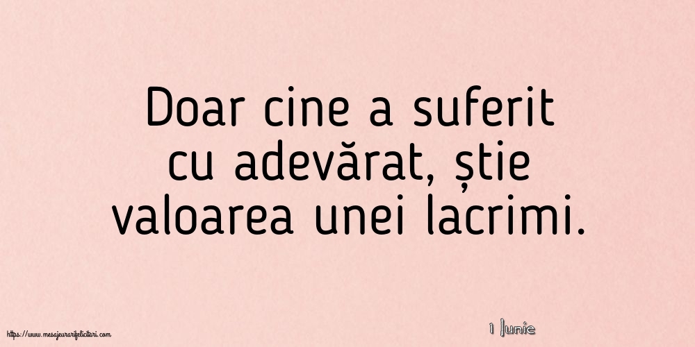 Felicitari de 1 Iunie - 1 Iunie - Doar cine a suferit cu adevărat