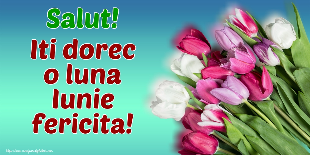 Felicitari de 1 Iunie - Salut! Iti dorec o luna Iunie fericita!