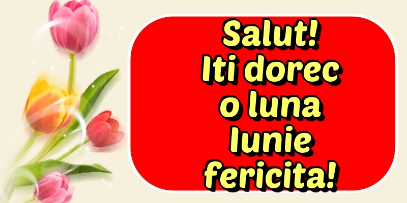 Felicitari de 1 Iunie - Salut! Iti dorec o luna Iunie fericita!