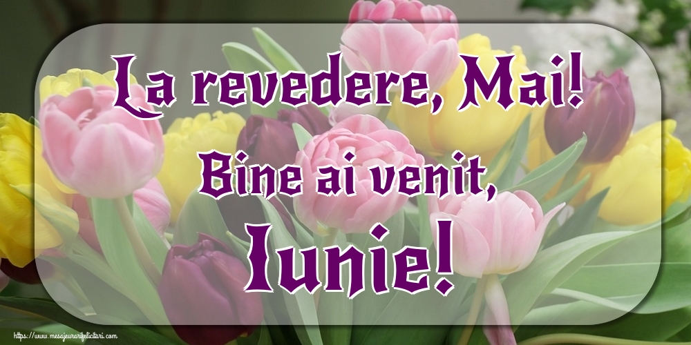 Felicitari de 1 Iunie - La revedere, Mai! Bine ai venit, Iunie!