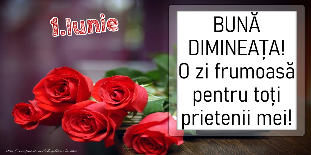 1 Iunie - BUNĂ DIMINEAȚA! O zi frumoasă pentru toți prietenii mei!