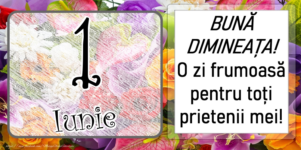 1 Iunie - BUNĂ DIMINEAȚA! O zi frumoasă pentru toți prietenii mei!