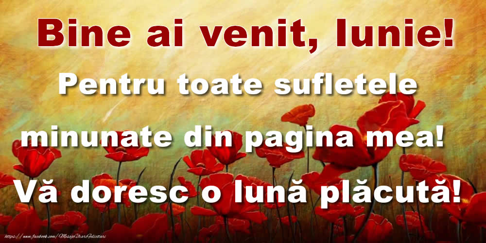 Bine ai venit, Iunie! Pentru toate sufletele minunate din pagina mea! Vă doresc o lună plăcută!