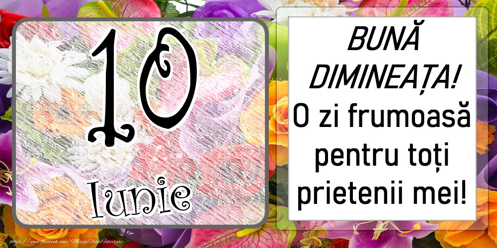 Felicitari de 10 Iunie - 10 Iunie - BUNĂ DIMINEAȚA! O zi frumoasă pentru toți prietenii mei!