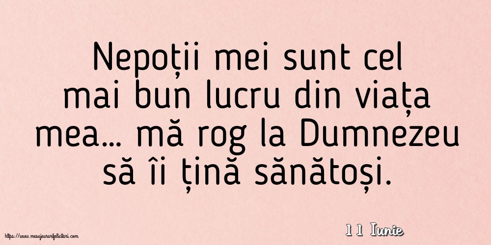 Felicitari de 11 Iunie - 11 Iunie - Nepoții mei sunt cel mai bun lucru din viața mea…