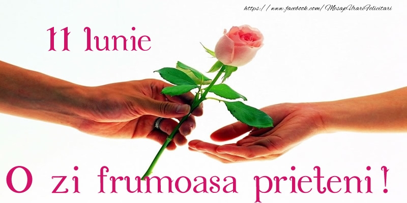 11 Iunie O zi frumoasa prieteni!