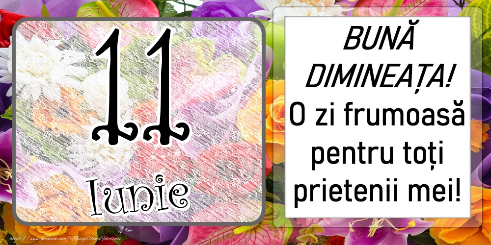 11 Iunie - BUNĂ DIMINEAȚA! O zi frumoasă pentru toți prietenii mei!