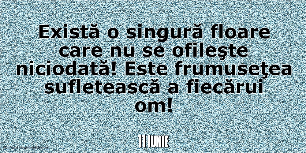 Felicitari de 11 Iunie - 11 Iunie - Există o singură floare care nu se ofileşte niciodată