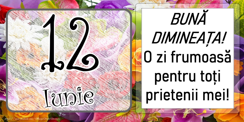 12 Iunie - BUNĂ DIMINEAȚA! O zi frumoasă pentru toți prietenii mei!