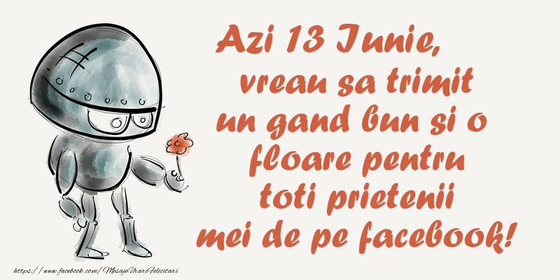 Felicitari de 13 Iunie - Azi 13 Iunie, vreau sa trimit un gand bun si o floare pentru toti prietenii mei de pe facebook!