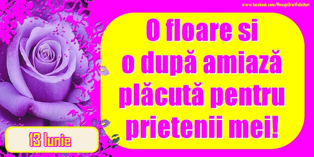 Felicitari de 13 Iunie - 13.Iunie - O floare și o după amiază plăcută pentru prietenii mei!