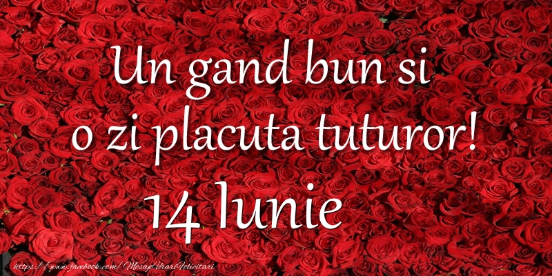 Un gand bun si  o zi placuta tuturor! Iunie 14