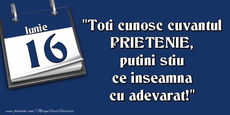 Toti cunosc cuvantul PRIETENIE, putini stiu ce inseamna cu adevarat! 16 Iunie
