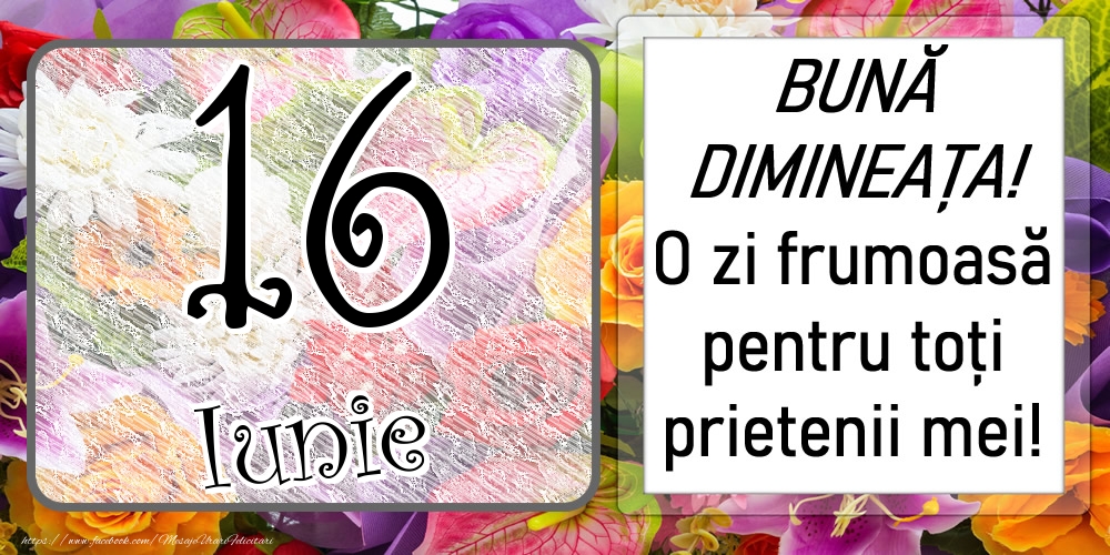 16 Iunie - BUNĂ DIMINEAȚA! O zi frumoasă pentru toți prietenii mei!