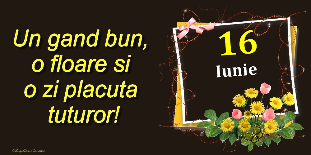 Felicitari de 16 Iunie - Iunie 16 Un gand bun, o floare si o zi placuta tuturor!