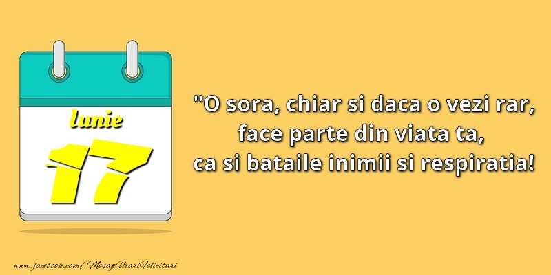 O soră, chiar şi dacă o vezi rar, face parte din viata ta, ca şi bătăile inimii şi respiraţia! 17Iunie