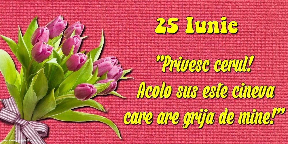 25.Iunie Privesc cerul! Acolo sus este cineva care are grija de mine!