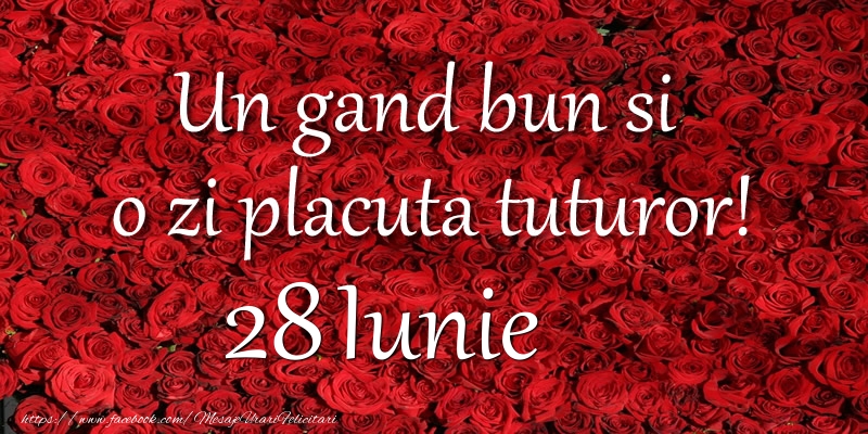 Felicitari de 28 Iunie - Un gand bun si  o zi placuta tuturor! Iunie 28