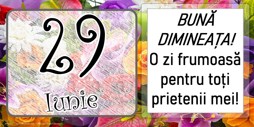 29 Iunie - BUNĂ DIMINEAȚA! O zi frumoasă pentru toți prietenii mei!