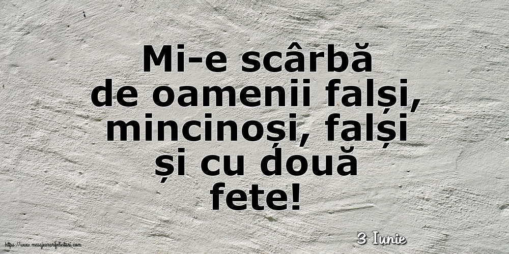 Felicitari de 3 Iunie - 3 Iunie - Mi-e scârbă de oamenii falși,
