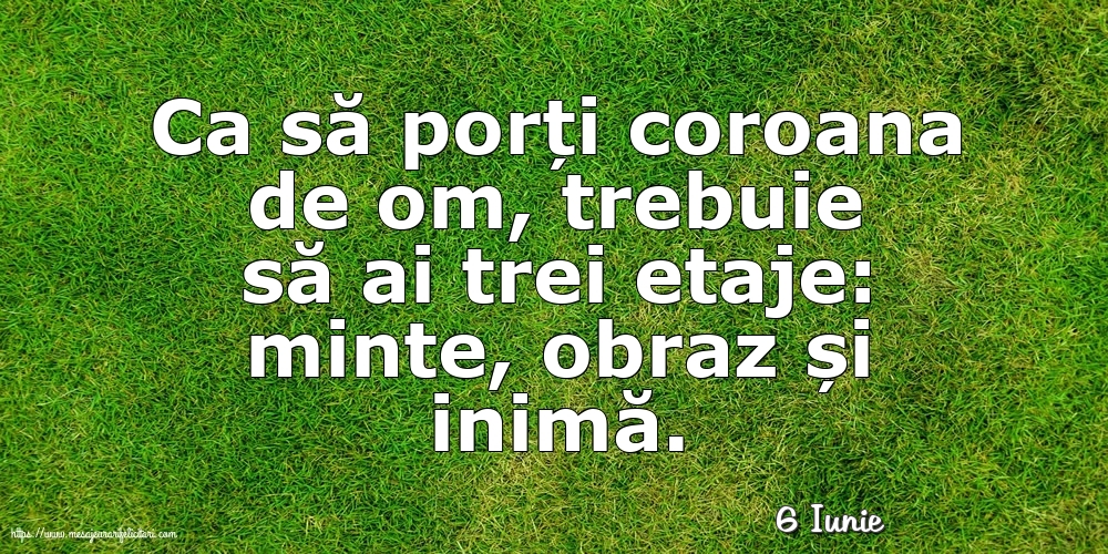 Felicitari de 6 Iunie - 6 Iunie - Ca să porți coroana de om, trebuie să ai trei etaje: minte, obraz și inimă.