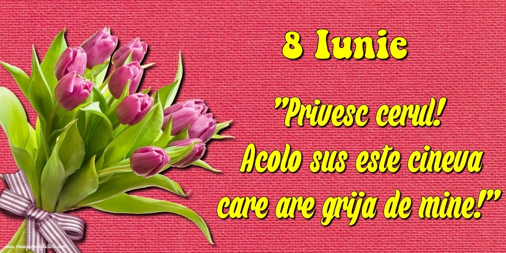 8.Iunie Privesc cerul! Acolo sus este cineva care are grija de mine!