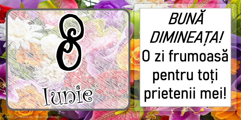 8 Iunie - BUNĂ DIMINEAȚA! O zi frumoasă pentru toți prietenii mei!