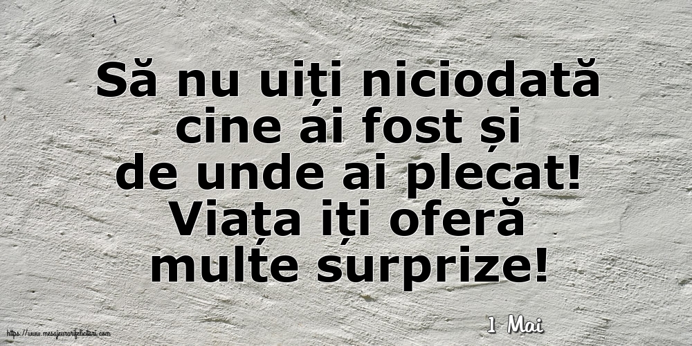 Felicitari de 1 Mai - 1 Mai - Viața iți oferă multe surprize!