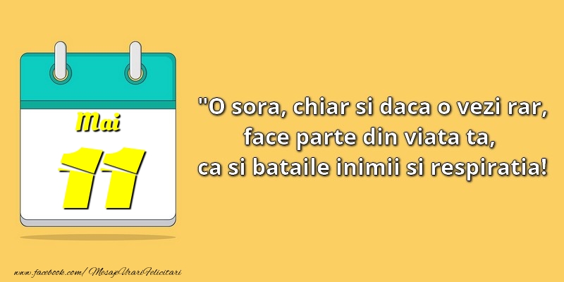 O soră, chiar şi dacă o vezi rar, face parte din viata ta, ca şi bătăile inimii şi respiraţia! 11Mai