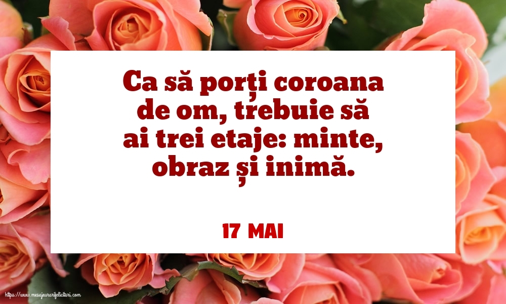 Felicitari de 17 Mai - 17 Mai - Ca să porți coroana de om, trebuie să ai trei etaje: minte, obraz și inimă.