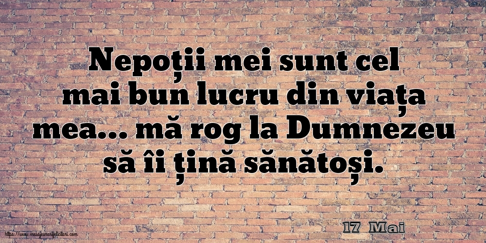 Felicitari de 17 Mai - 17 Mai - Nepoții mei sunt cel mai bun lucru din viața mea…