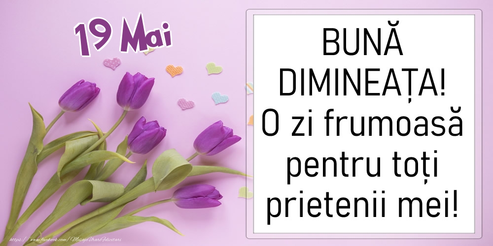 19 Mai - BUNĂ DIMINEAȚA! O zi frumoasă pentru toți prietenii mei!