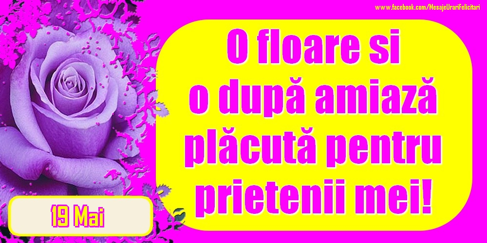 19.Mai - O floare și o după amiază plăcută pentru prietenii mei!