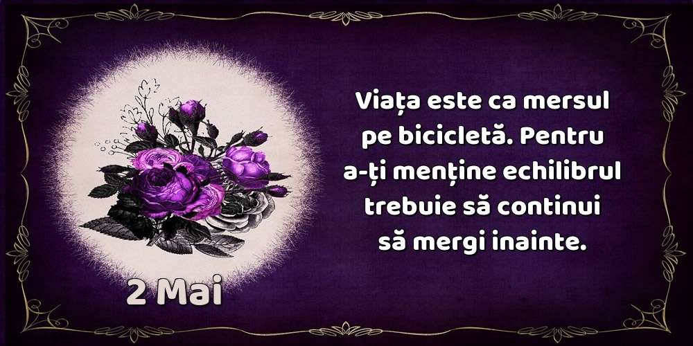 2.Mai Viața este ca mersul pe bicicletă. Pentru a-ți menține echilibrul trebuie să continui să mergi inainte.