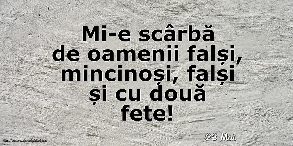 Felicitari de 23 Mai - 23 Mai - Mi-e scârbă de oamenii falși,